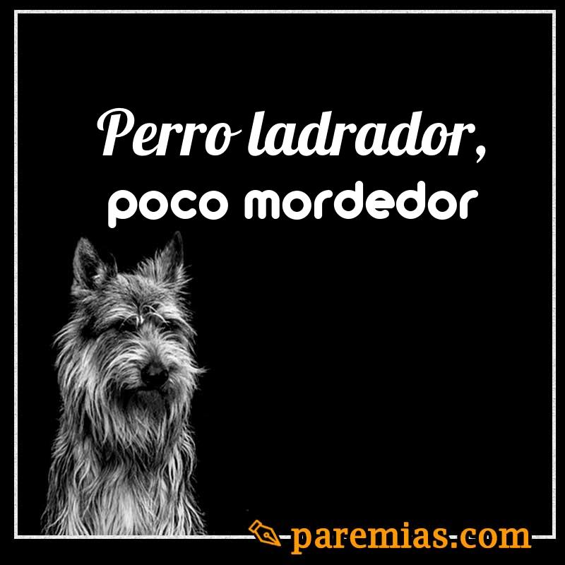 Perro ladrador, poco mordedor