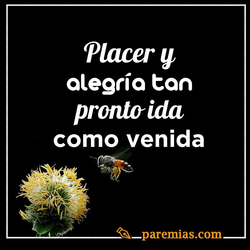 Placer y alegría, tan pronto ida como venida