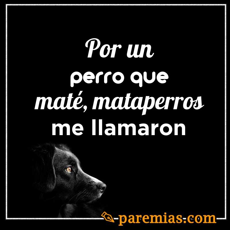 Por un perro que maté, mataperros me llamaron