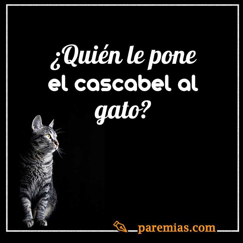 ¿Quién le pone el cascabel al gato?