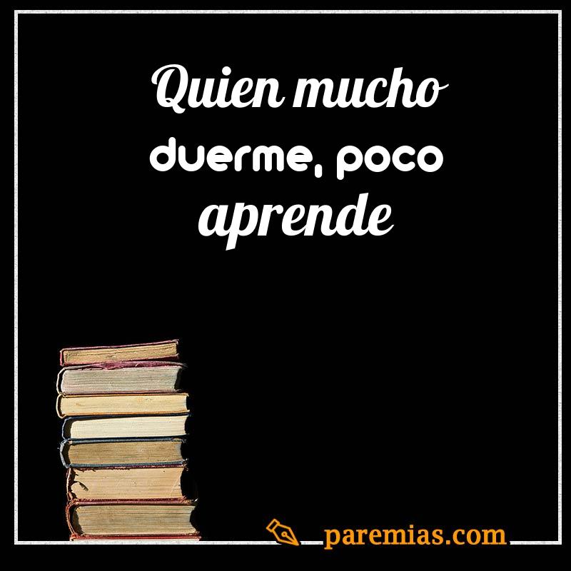 Quien mucho duerme, poco aprende