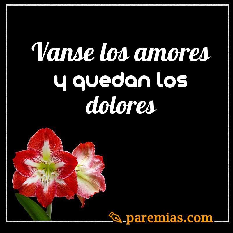 Vanse los amores y quedan los dolores