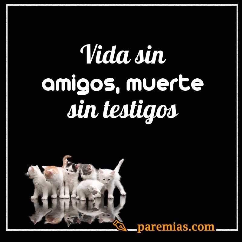 Vida sin amigos, muerte sin testigos