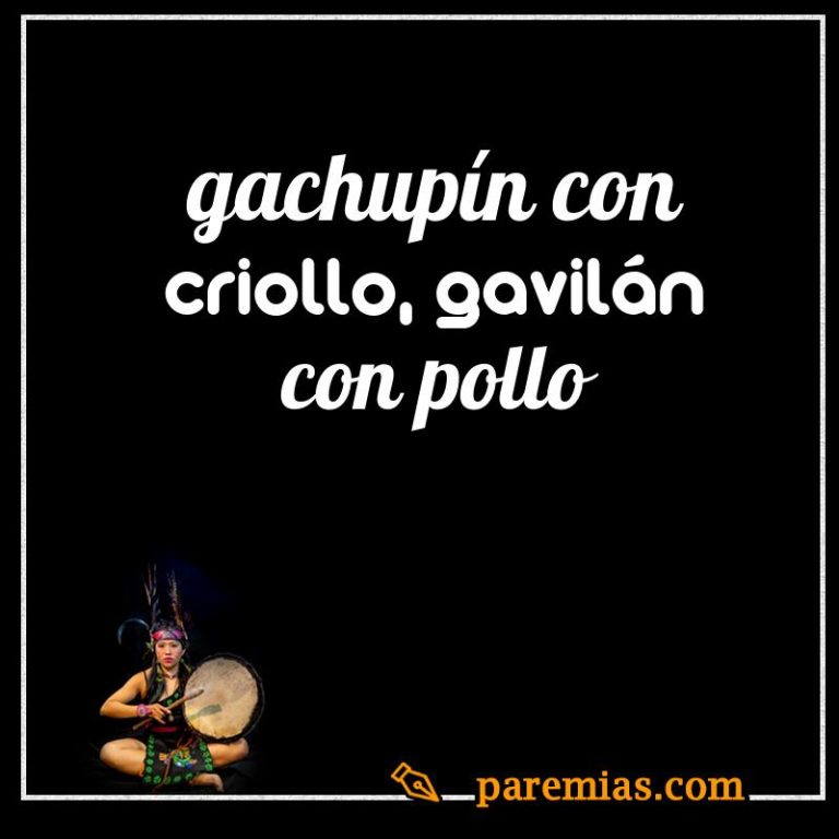Gachupín con criollo, gavilán con pollo